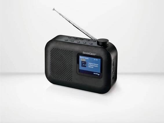 Rádio DAB+ / UKW SDRF 10 B1