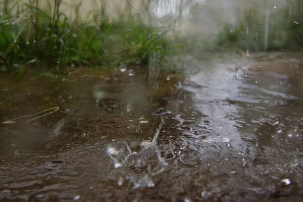 Rain Melody