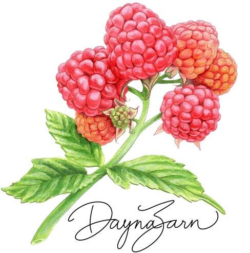 About Me — Dayna Zarn 