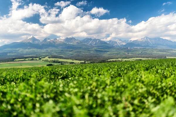 Rázovitá obec Važec sa pripravuje na unikátny chorovod - Visit Liptov