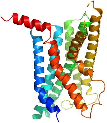 Breakthrough in Treating Obesity and Fatty Liver Disease with GLP-1 Receptor Agonists