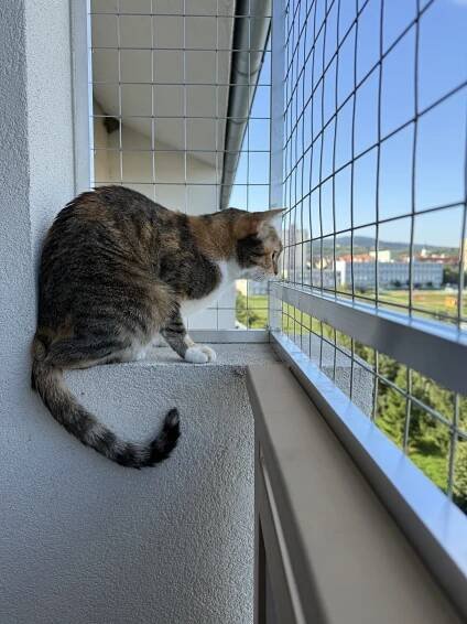 Balkón pre mačky široký 4 m a vysoký 1 m – bezpečné riešenie aj do bytu 6
