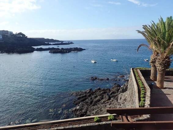 Diving Alcalá, Tenerife south