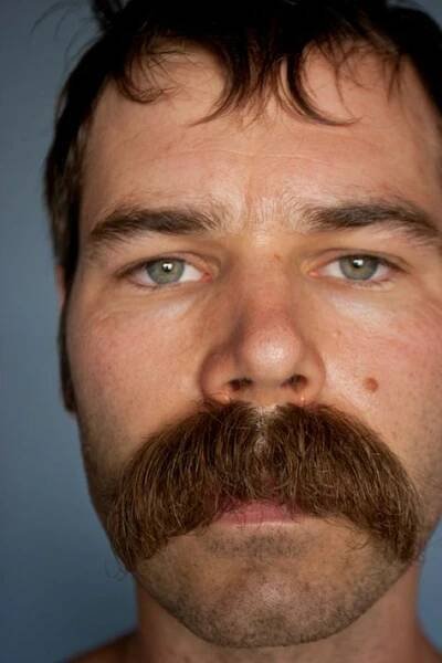 Walrus moustache