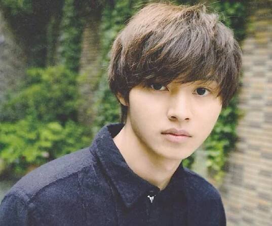 Kento Yamazaki Biography - Facts, Childhood, Family Life of Japanese Actor