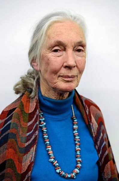 Asi holka! Slavná Jane Goodallová (90) vybere nové gorilce z pražské zoo jméno