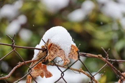 OBRAZEM: Když sníh a mráz čarují. Fotografka zachytila zimu v plné síle a kráse