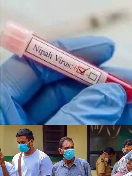 Kerala reports two Nipah virus deaths; Expert team dispatched by Centre