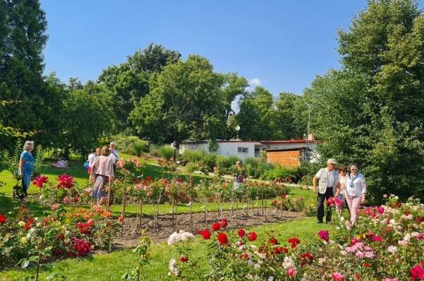 Ze skládky odpadů chloubou Olomouce. Rozárium olomouckého Výstaviště Flora vzkvétá již 50 let - OLOMOUC.CZ
