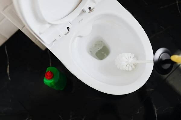 Čištění WC štětkou