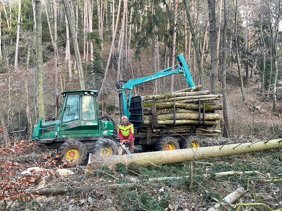 Modern und leistungsstark: Pfanzelt Forst- und Ladekrane
