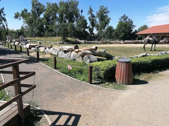Nová trasa Zooparkem Vyškov: pohled na velbloudy i krmení buvolů, podívejte se