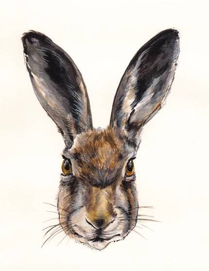 Hare Head for RABBITS Podcast