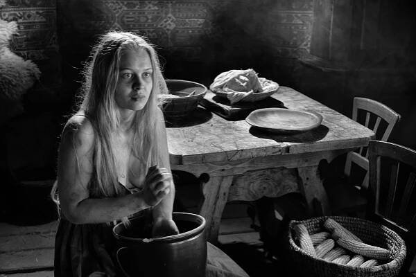 Na Netflix míří Nabarvené ptáče, snímek, který získal 9 Českých lvů - Netflixer