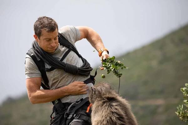 Choose Your Adventure! Bear Grylls to Return to Netflix with 2 Interactive Specials