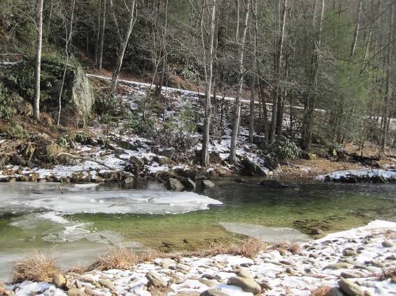 Wilson Creek Adopt-A-Stream and Stream Watch