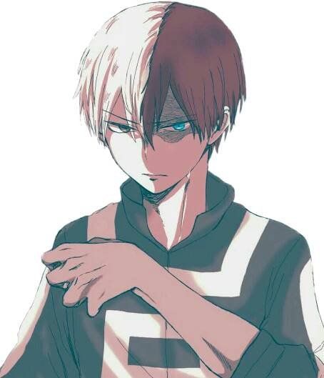 Todoroki Halfand Half Hero PNG
