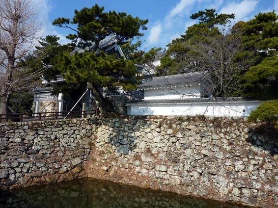 Tahara Domain
