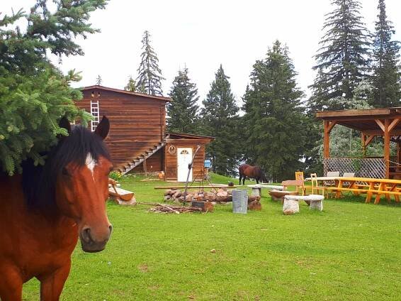 Rustic Ranch House - Wettstone Guest Ranch - Beautiful Western Ranch in British Columbia