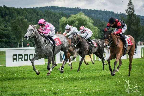 Oaks přineslo překvapení. Stylem start-cíl se prosadila Sainte Victoire s Janem Vernerem