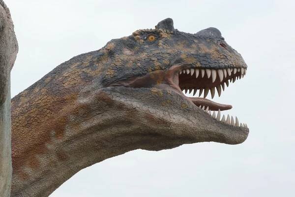 Fotky - Dinopark Praha - 02.08.2015