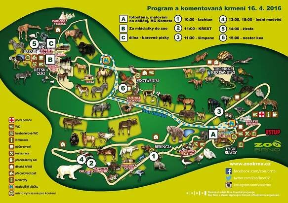 Křtiny ledního medvíděte | Zoo Brno