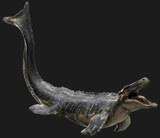 3D v-ray rigged model https://p.turbosquid.com/ts-thumb/lr/l524fQ/o1UNiQ6x/02/jpg/1561343508/1920x1080/fit_q87/f6ec91e324cc771546508c46f11e6f9301388aa3/02.jpg
