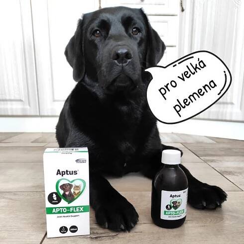 Aptus Apto-Flex VET sirup 500ml na klouby