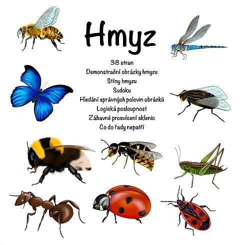 Hmyz - Přírodověda | UčiteléUčitelům.cz