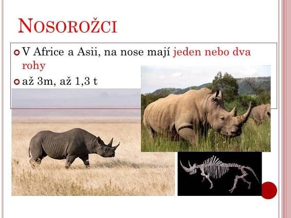 Lichokopytníci – Materiály pro žáky ZŠ