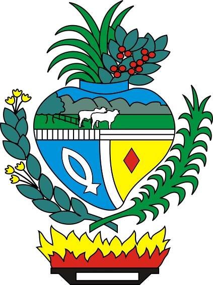 Soubor:Brasão de Goiás.svg – Wikipedie
