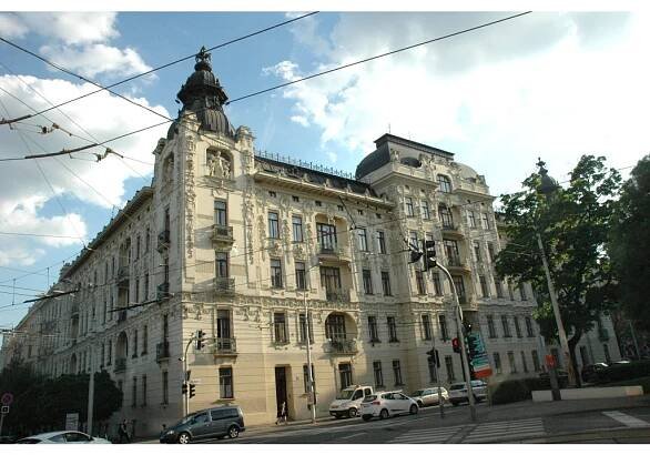 image (12)