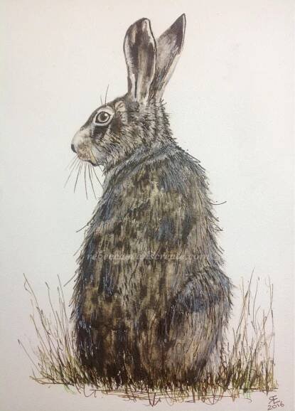 Hares