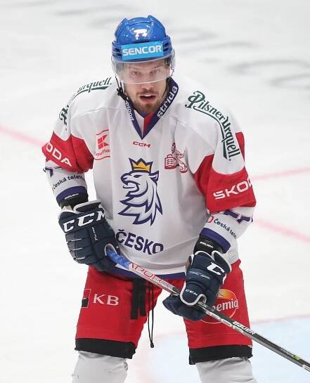 David Němeček