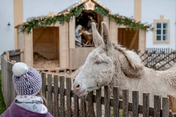 Advent auf Schloss Hof