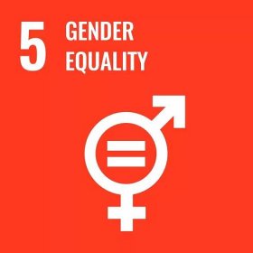 SDG 5: Gender Equality - GSMA