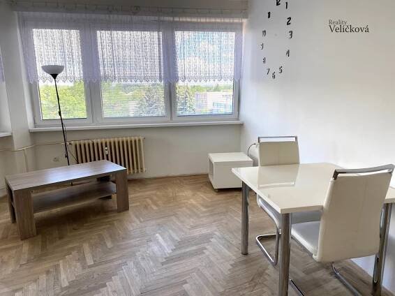 Pronájem pěkného slunného bytu 1+1 v Hradci Králové - Mrštíkova | Reality Veličková