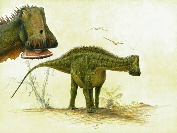 Discoveries | Paul Sereno - Paleontologist | The University of Chicago