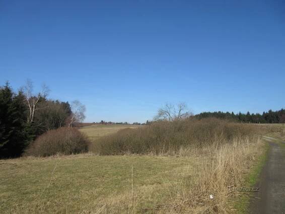Českomoravská vysočina - Medlov-Nové Měto na Moravě-Harusův kopec-Bednářův kopec