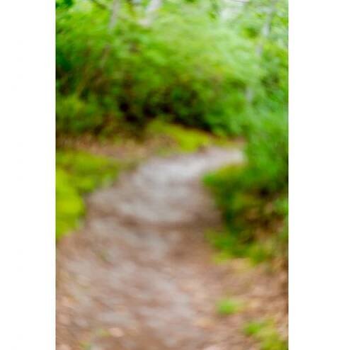 Path