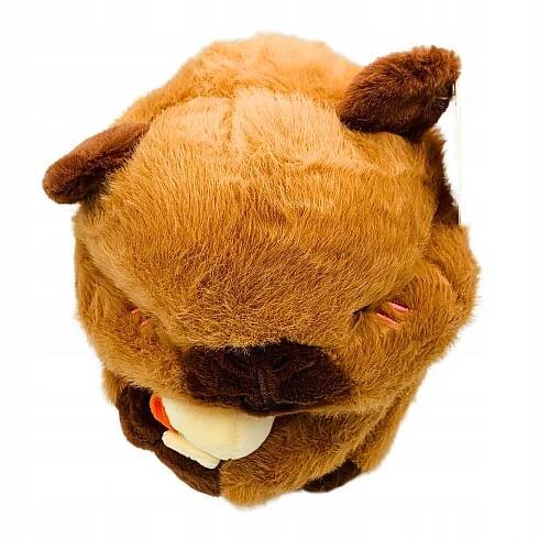 Kapybara Plyšák s kachnou Kačenka Hračka Plyšová 25 cm Název Capybara