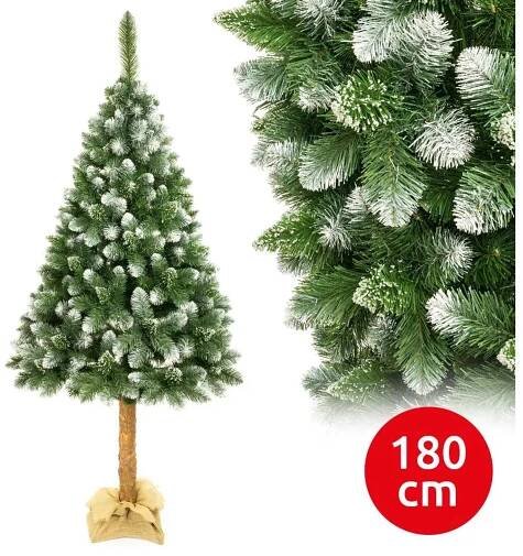 Vánoční stromek na kmenu 180 cm borovice