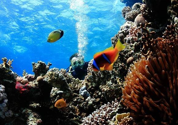 Fotogalerie – Indonesia-cruises