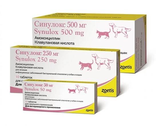 Kolik Synulox stojí?