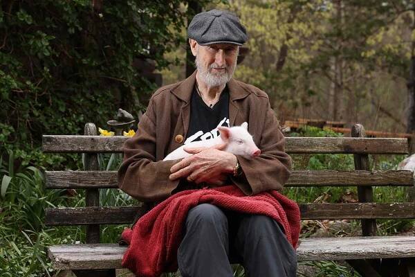James Cromwell Recreates 'Babe' Scene with Rescue Piglet Named After the Famous Movie Pig