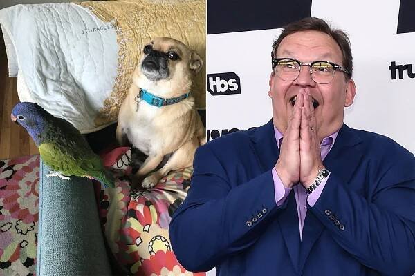 Andy Richter | Latest News | New York Post