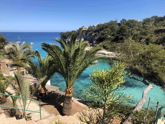 Mallorca is THE BEST Destination for Digital Nomads -7 Reasons Why You Should Go Soon!