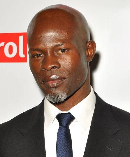 Djimon Hounsou - Wikipedia