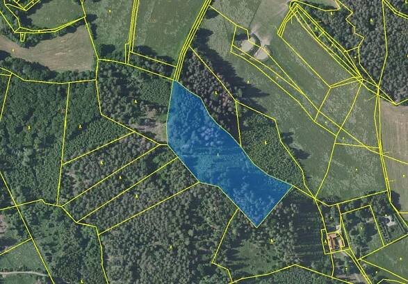 Lesní pozemek o výměře 18 492 m2, podíl 1/1, k.ú. Velké Heřmanice, okres Benešov | JRdražby.cz
