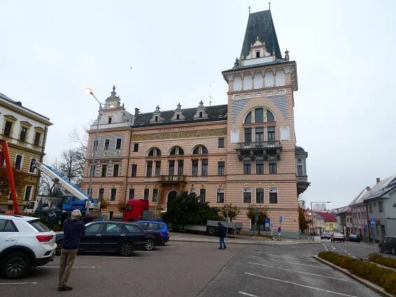FOTO: Přelouč má již vánoční strom, čeká na ozdobení